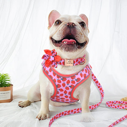 Fruity French Bulldog Collar Harness And Leash Set