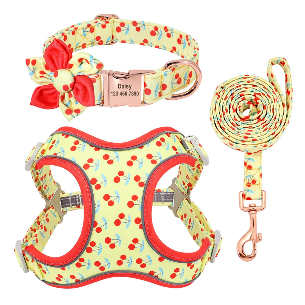 Fruity French Bulldog Collar Harness And Leash Set