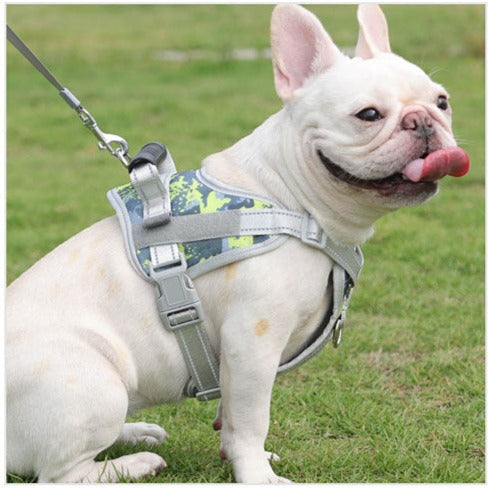 Personalized Frenchie Harness