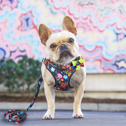 Floral French Bulldog Collar Harness And Leash Set