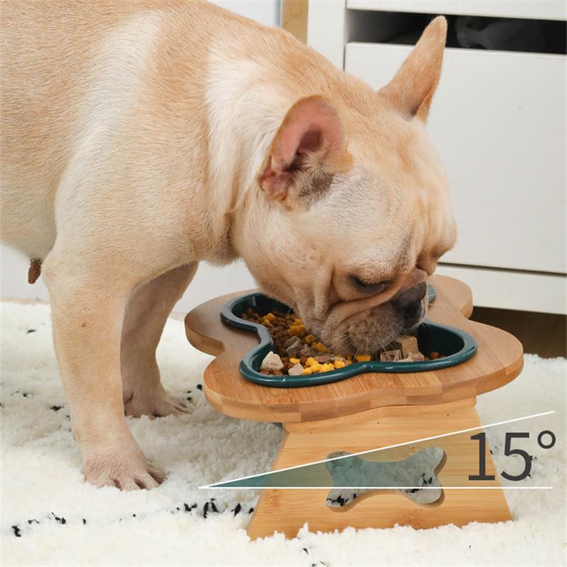 Bone Shape Dog Feeding Bowl Green Bowl wooden stand