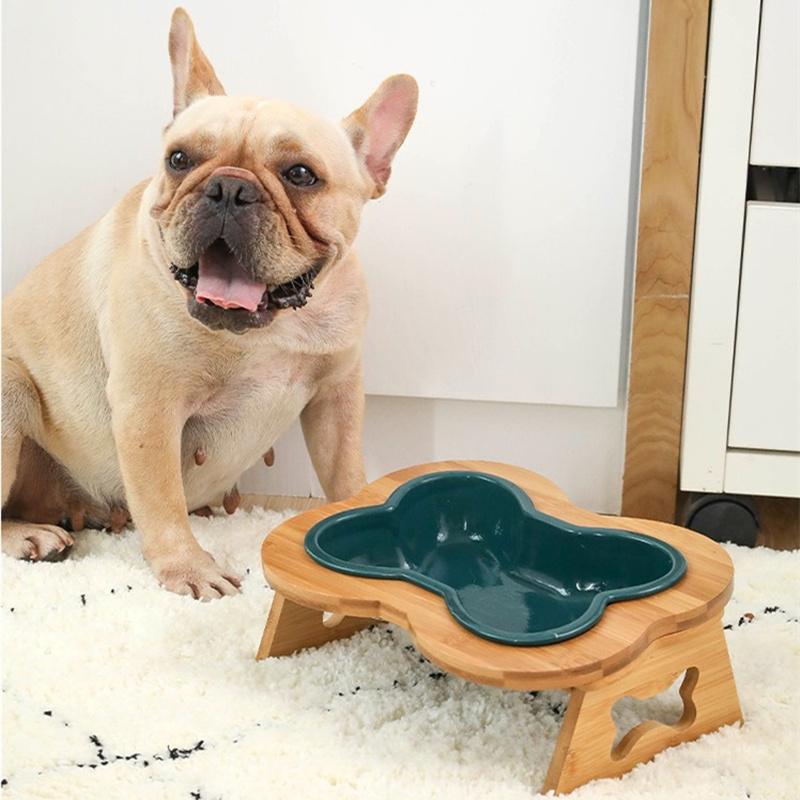 Bone Shape Dog Feeding Bowl Green Bowl wooden stand