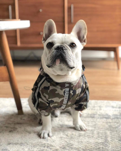 Camouflage Shark Frenchie Hooded Jacket S