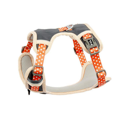 Durable Patterned Dog Leash Orange Strap L