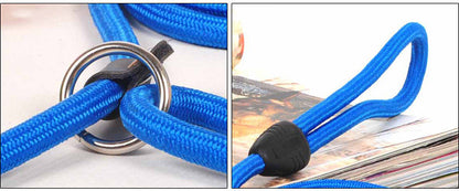 Nylon Rope Frenchie Leash