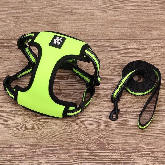 Frankie French Bulldog Solid Harness and Leash Set Green L