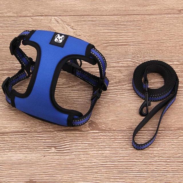 Frankie French Bulldog Solid Harness and Leash Set Blue S