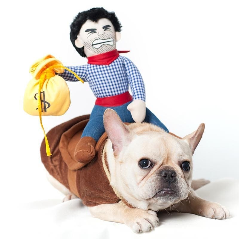 French Bulldog Cowboy Costume