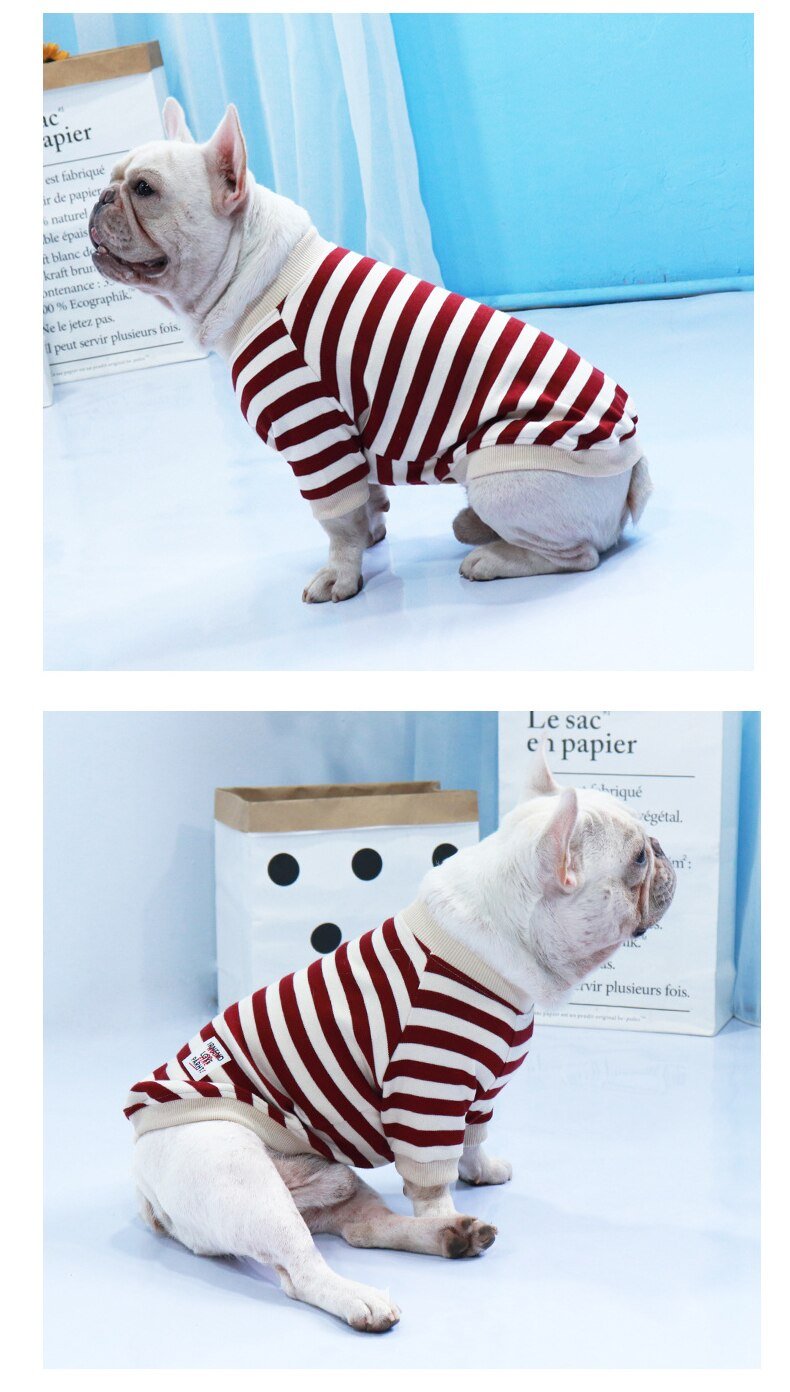 French Bulldog Striped Sweater Blue S