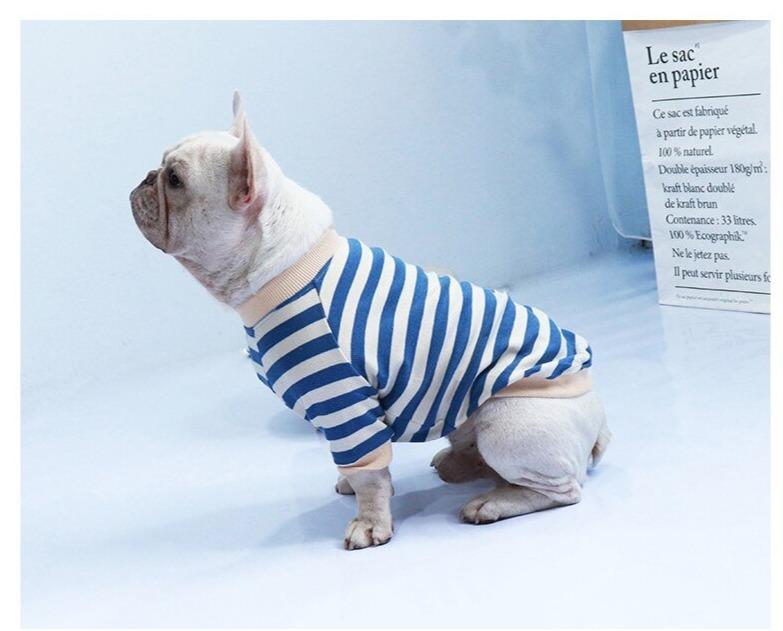 French Bulldog Striped Sweater Blue S