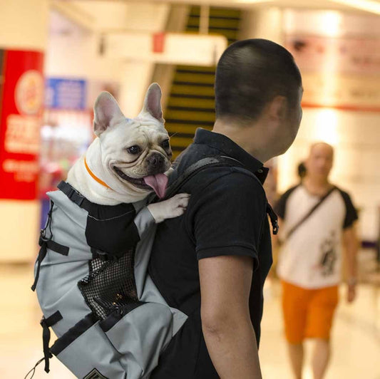 Large Frenchie Carrier GY S United States