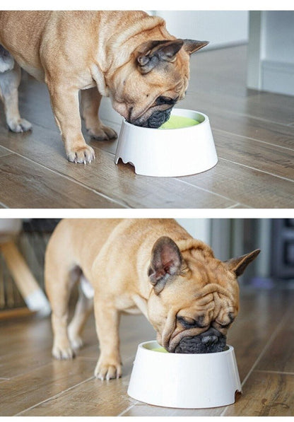 No Spill Frenchie Water Bowl Yellow