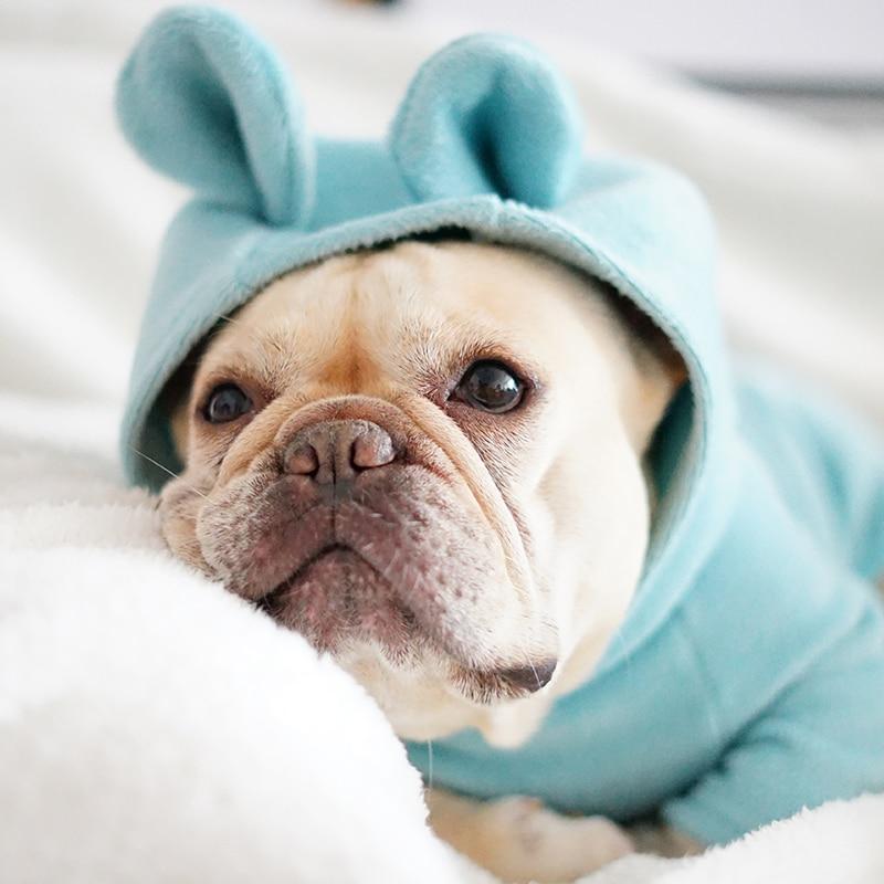 Not My fault Dog Onesie Blue With Ears Size 2 (SM)