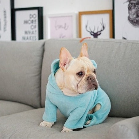 Not My fault Dog Onesie Blue With Ears Size 2 (SM)