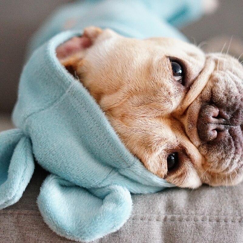 Not My fault Dog Onesie Blue With Ears Size 2 (SM)