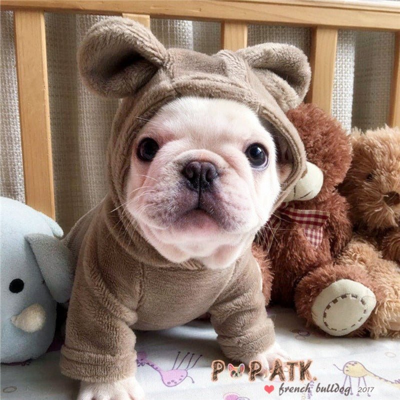 Not My fault Frenchie Onesie Light Grey SM