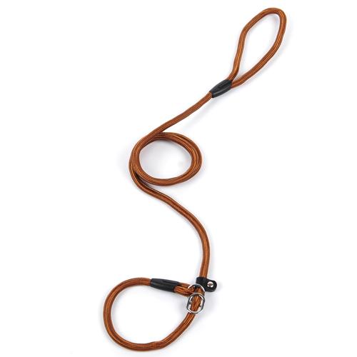 Nylon Rope Frenchie Leash Gold 1.2cm in diameter