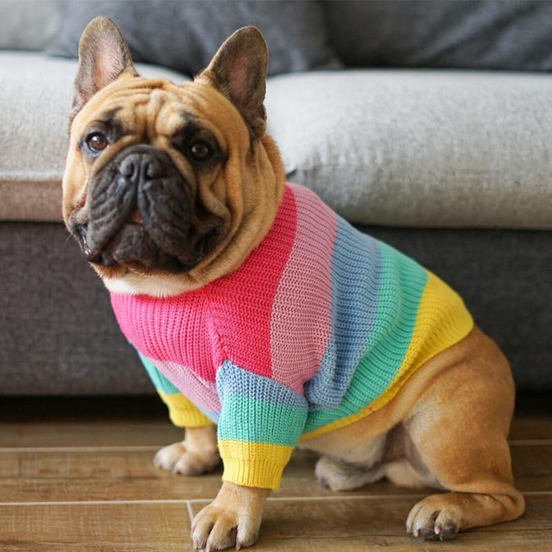 Rainbow Frenchie Sweater Pineapple S