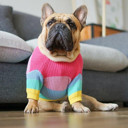 Rainbow Frenchie Sweater Pineapple S