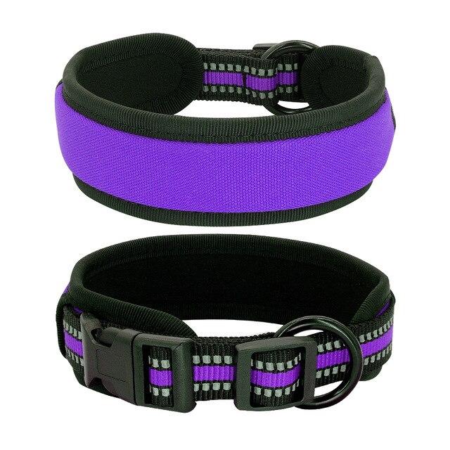 Reflective French Bulldog Collar Purple L