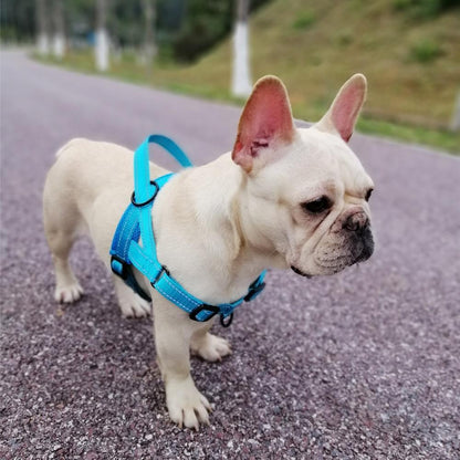 Reflective-Padded Frenchie Dog Harness Black XS