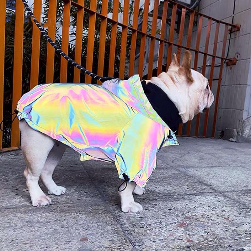 Reflective-Waterproof Frenchie Hooded Jacket S