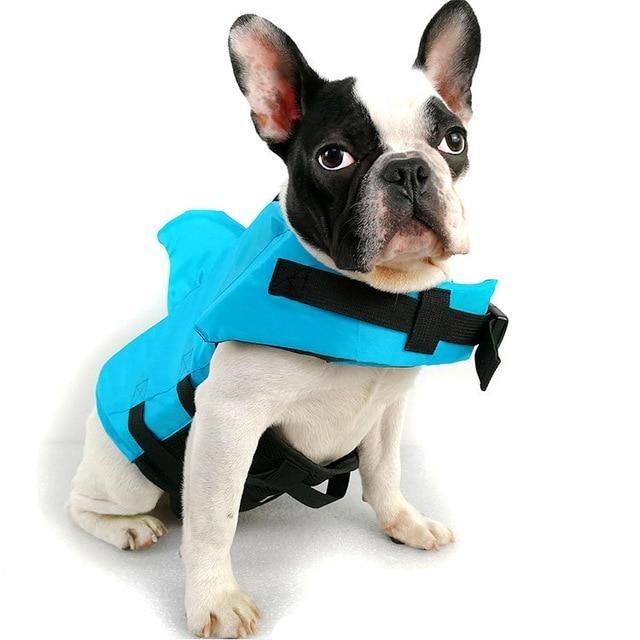 Shark Bark Frenchie Life Jacket Blue L 22-28KG