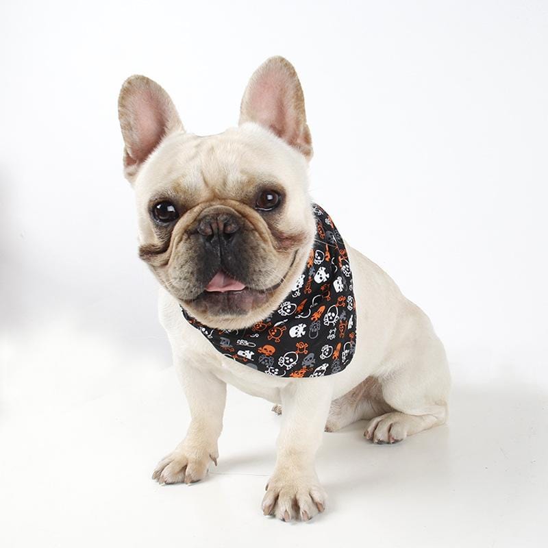 Pirate French Bulldog Bandana