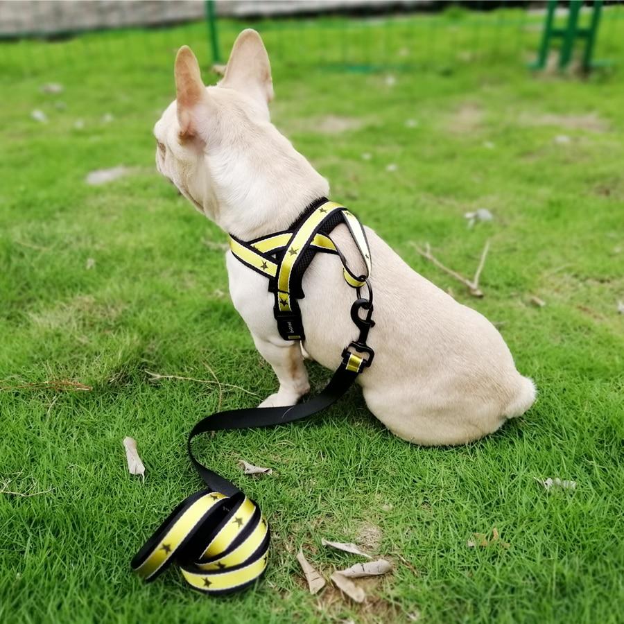 Super Star Frenchie Dog Harness And Leash Set Red Harness S