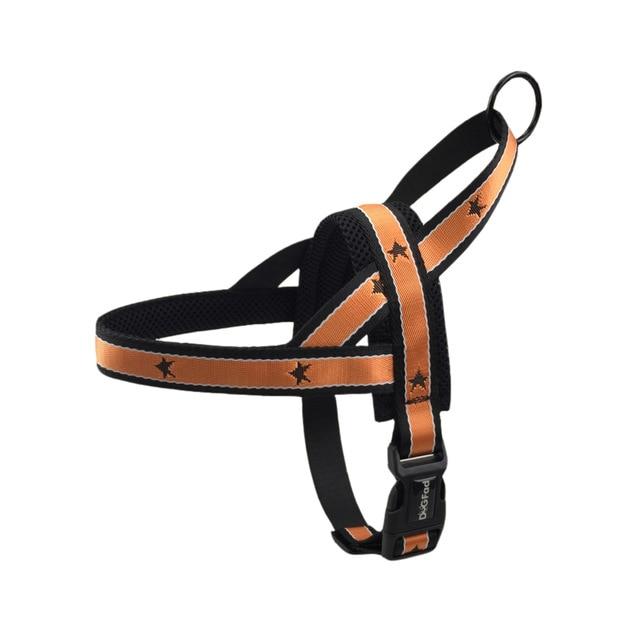 Super Star Frenchie Dog Harness And Leash Set orange Harness S