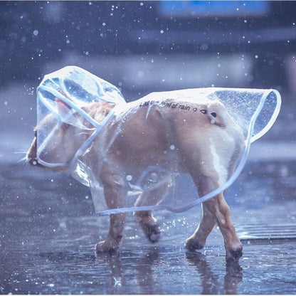 Transparent French Bulldog Hooded Raincoat white XS