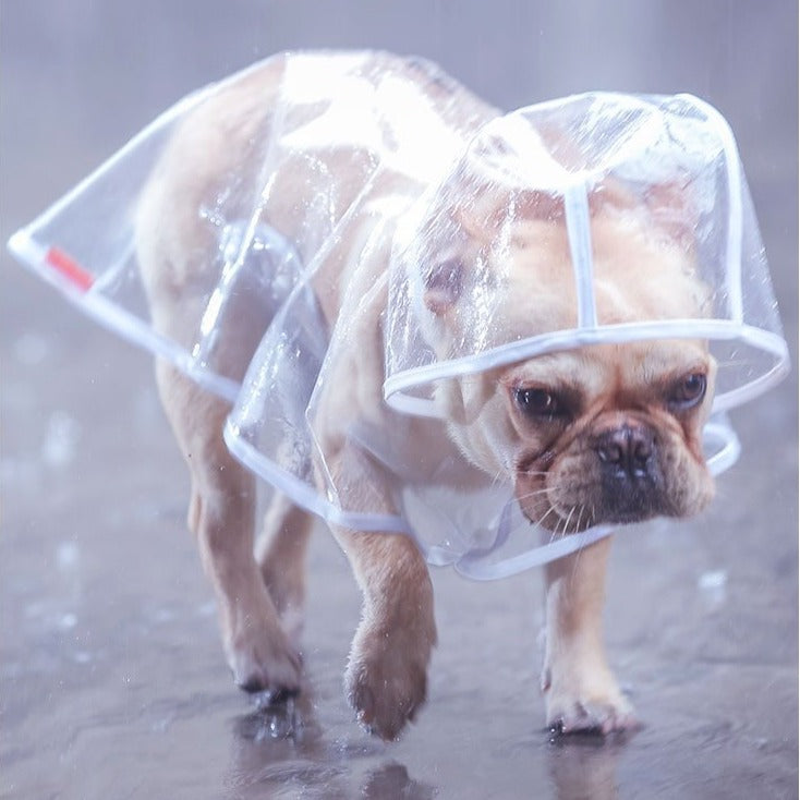 Transparent French Bulldog Hooded Raincoat white XS