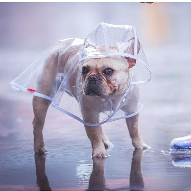 Transparent French Bulldog Hooded Raincoat white XS