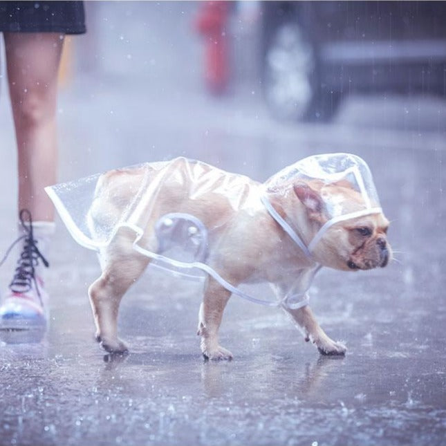 Transparent French Bulldog Hooded Raincoat white XS