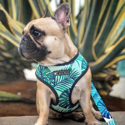 Tropical Print Frenchie Harness And Leash Set Pet Leash ONLY S