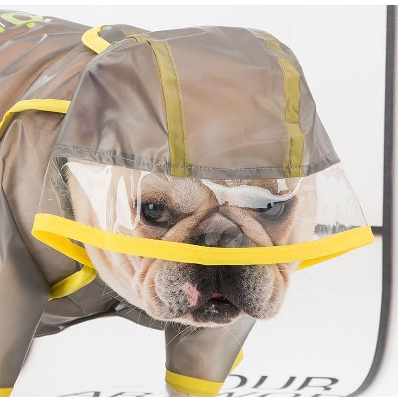 You Can Do It French Bulldog Raincoat White XS