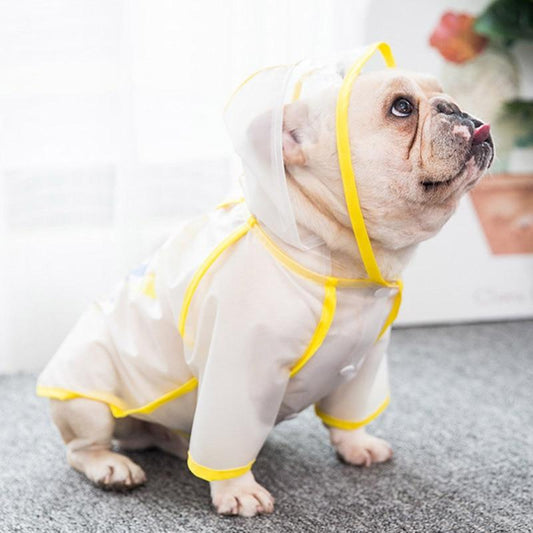 You Can Do It French Bulldog Raincoat White XS